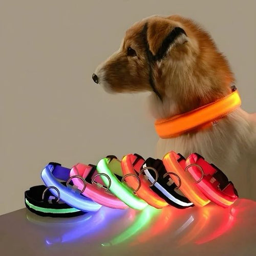 NYLON LED FLASHING COLLAR FOR DOGS