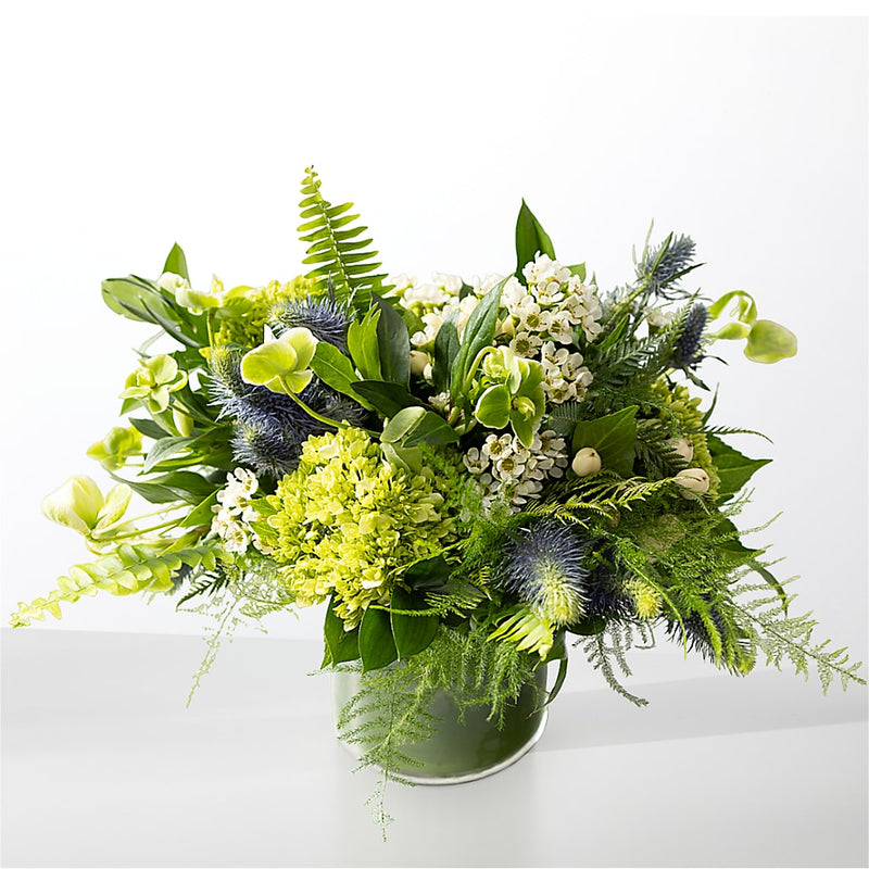 Botanical Garden Plant Kit