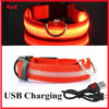 NYLON LED FLASHING COLLAR FOR DOGS