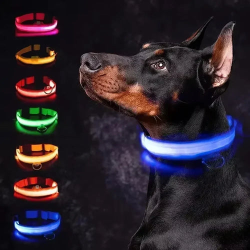 NYLON LED FLASHING COLLAR FOR DOGS