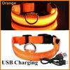 NYLON LED FLASHING COLLAR FOR DOGS